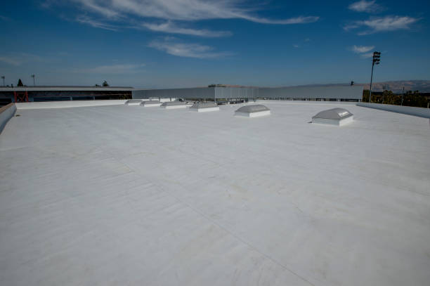 Best Solar Panel Roofing Installation  in Pine Bluff, AR