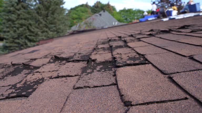 Best Roof Maintenance and Cleaning  in Pine Bluff, AR
