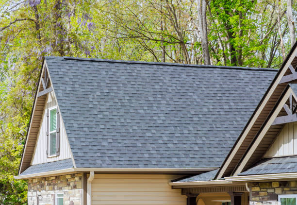 Best Roof Moss and Algae Removal  in Pine Bluff, AR